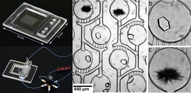 themoplastic microfluidics figure