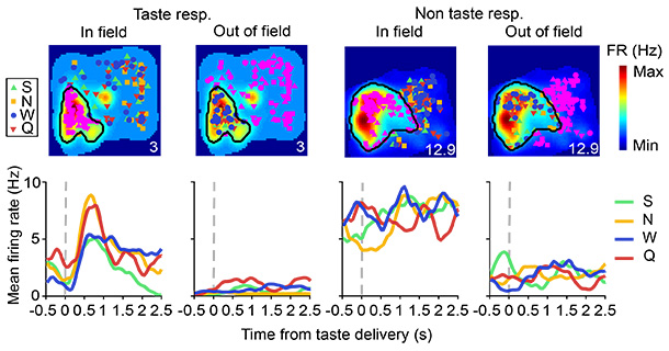Analyzing how place cells responded to tastes delivered inside or outside of their place field